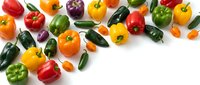 Colorful assortment of fresh bell peppers and hot chili peppers arranged on white background with copy space for food, cooking, nutrition, and healthy eating content.
