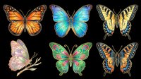 Colorful butterfly collection featuring monarch, morpho, swallowtail and peacock species isolated on transparent background. Ready for t-shirt designs, clipart, stickers, sublimation and print-on-demand products.
