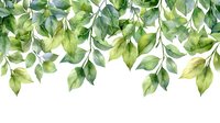 Watercolor green leaves border on white background, seamless horizontal pattern with hanging foliage branches for nature-inspired design projects.