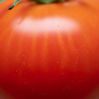 Fresh ripe red tomato close-up macro shot showing smooth skin texture and natural shine for healthy eating and cooking concepts.