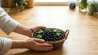 Person holding wicker basket filled with fresh black berries on wooden table with potted plants, ideal for food and lifestyle content.