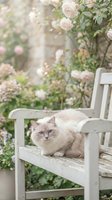 Cream-colored cat resting on white wooden chair surrounded by blooming pale pink roses and green foliage in garden setting for home decor and lifestyle projects.