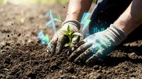 Farmer planting seedling in soil with digital growth chart overlay showing agricultural technology and sustainable farming innovation.