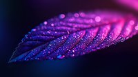 Purple leaf with water droplets in macro photography glowing with neon pink light against dark background, creating magical nature abstract with bokeh effect and dew drops.