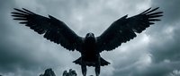 Silhouette of a black raven or crow with wings spread wide against a dramatic stormy sky with dark clouds and moody lighting, suitable for gothic, dark fantasy, and supernatural themes.