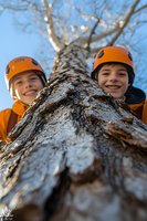 Young climbers in orange safety helmets peek from behind tree trunk against blue sky, low angle view capturing adventurous outdoor activity and youth recreation.