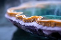 Extreme close-up macro photography of orange mushroom gills with delicate texture and natural patterns against blurred teal background, showing intricate fungal details.