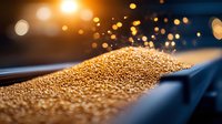 Raw quinoa grains on industrial conveyor belt with golden bokeh lights, macro food photography showing texture and natural organic production process.
