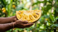 Hands holding fresh cut pineapple slice against blurred tropical foliage background. Suitable for food, agriculture, and healthy eating content.