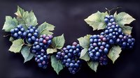 Fresh ripe purple grape clusters with green leaves arranged in curved composition on dark background, watercolor style botanical illustration.