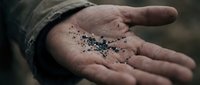 Hand holding mixed seeds and grains for planting agriculture farming gardening sustainable food production organic cultivation harvest concept.