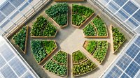 Aerial view of circular sustainable farm with solar panels, green crop beds arranged in geometric pattern around central pathway, renewable energy integration for modern agriculture.