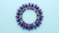 Purple lavender flowers arranged in circular wreath pattern on light blue background for aromatherapy and wellness design projects.