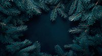 Moody winter frame made of fresh fir tree branches on dark background, creating natural border with copy space in center for seasonal designs.