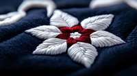 Detailed embroidered flower with white petals and red center on navy blue fabric background showcasing traditional needlework technique and textile craftsmanship.