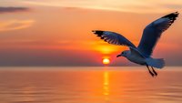 Seagull soaring over calm ocean waters during golden sunset with vibrant orange and pink sky reflecting on water surface creating peaceful seascape scene.