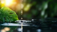 Water drops falling on calm surface creating splash crown with monstera leaf and sun flare in background, macro photography capturing tranquil nature moment.