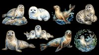 Seal and sea lion collection isolated on transparent background, ready for t-shirt design, clipart, stickers, sublimation and print-on-demand products.