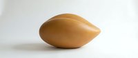 Smooth golden brown organic egg-shaped form on neutral background. Modern minimalist sculpture with warm tones for contemporary interior design and decor.