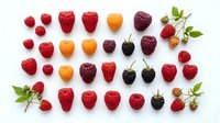 Colorful assortment of fresh berries including strawberries, raspberries, blackberries and golden berries arranged in neat rows on white background.