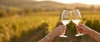 Two hands toasting with white wine glasses at sunset in vineyard landscape. Romantic celebration moment with golden hour lighting and grape vines background.