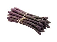 Fresh purple asparagus bunch tied with twine, isolated on white background. Suitable for food, cooking, nutrition, and healthy eating design projects.
