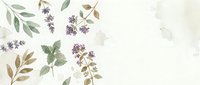 Watercolor botanical herbs and flowers on textured paper background with copy space for natural organic design projects and herbal medicine branding.