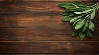 Fresh sage leaves on dark wooden planks background with copy space, top view composition for food photography and menu design.