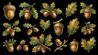 Autumn acorn and oak leaf clipart set, isolated on transparent background. Great for stickers, t-shirt design, print on demand, sublimation, and seasonal crafts.