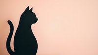 Black cat silhouette sitting gracefully against soft pink background. Minimalist pet design for logos, greeting cards, wall art and branding projects.
