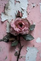 Pink rose with bud against weathered pink wall with peeling white paint, creating romantic vintage aesthetic with textural contrast.