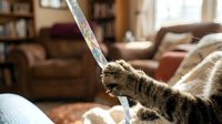 Tabby cat playing with ribbon toy in cozy living room with furniture and bookshelves, interactive pet playtime and indoor entertainment.