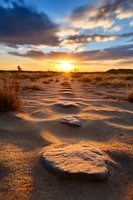 Dramatic desert sunset illuminates sandy path with scattered rocks, creating deep shadows and golden light across arid landscape. Natural lighting highlights textured terrain.