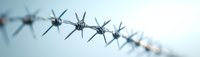 Sharp barbed wire fence closeup with blurred background creating depth of field effect, symbolizing boundary, security and restriction concepts.