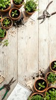 Overhead view of seedlings in terracotta pots with gardening tools and sketches on whitewashed wooden surface, ideal for gardening and horticulture projects.