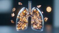 Glowing autumn leaves form luminous human lungs against dark background, creative healthcare concept showing seasonal respiratory system metaphor.