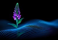 Vibrant purple and green foxglove flower emerging from abstract blue wave pattern background on black, creating surreal digital art composition for nature themes.