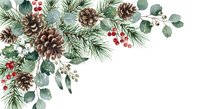 Christmas corner border with pine branches, cones, red berries and eucalyptus leaves on white background for holiday greeting cards and seasonal designs.