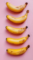 Fresh ripe bananas arranged in vertical row on pink background. Minimal food photography style with natural shadows and soft lighting.