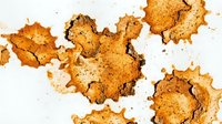 Crispy golden fried chicken skin pieces scattered on white background, ideal for food styling, culinary content, restaurant menus, cooking blogs, and food photography projects.