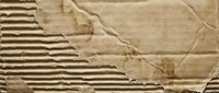 Damaged corrugated cardboard texture with torn edges and exposed fluting layers showing wear and weathering effects for packaging design projects.
