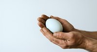 Hand holding white egg against neutral background, suitable for food, nutrition, cooking, and health-related design projects.
