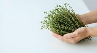 Hands holding fresh microgreens sprout bundle on white background, suitable for organic food, healthy eating, and culinary design projects.