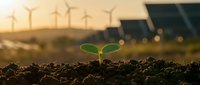 Green seedling sprouting from rich soil with wind turbines and solar panels in background representing sustainable energy and environmental growth.
