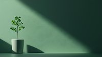Small green plant growing in white minimalist pot casting dramatic diagonal shadow on mint green wall, modern interior design concept for home decor.