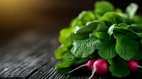 Fresh red radishes with vibrant green leaves on dark wooden background. Macro shot of organic vegetables with selective focus and natural lighting.