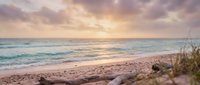 Serene coastal landscape at sunset with golden light reflecting on calm ocean waves, sandy beach, and driftwood for travel and nature backgrounds.