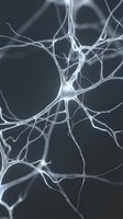 Glowing neuron cell with branching dendrites on dark background, depicting brain activity, neural network, and nervous system science.