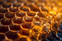 Fresh honeycomb cells filled with golden honey, illuminated with warm light creating a mesmerizing pattern of hexagonal shapes and amber reflections.