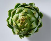 Fresh green artichoke head viewed from above on light background showing detailed layered leaves and natural texture pattern for food photography and design.